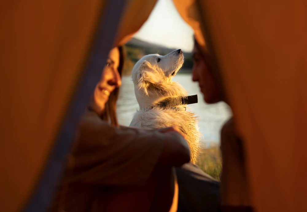 ultralight 1 person tent